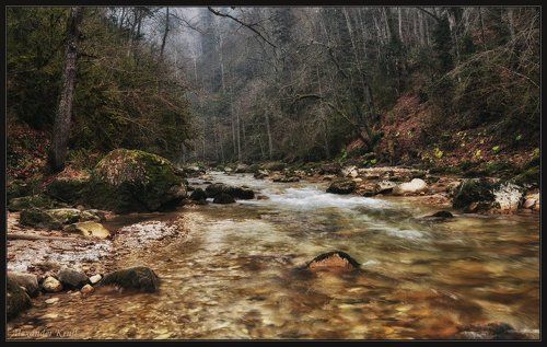 Бежит по ноябрю Курджипс...