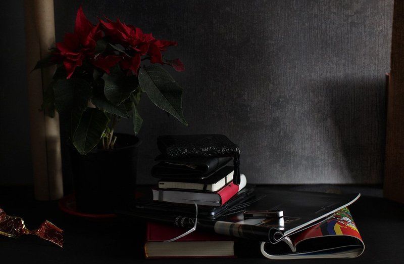 Мысли вслух фото превью