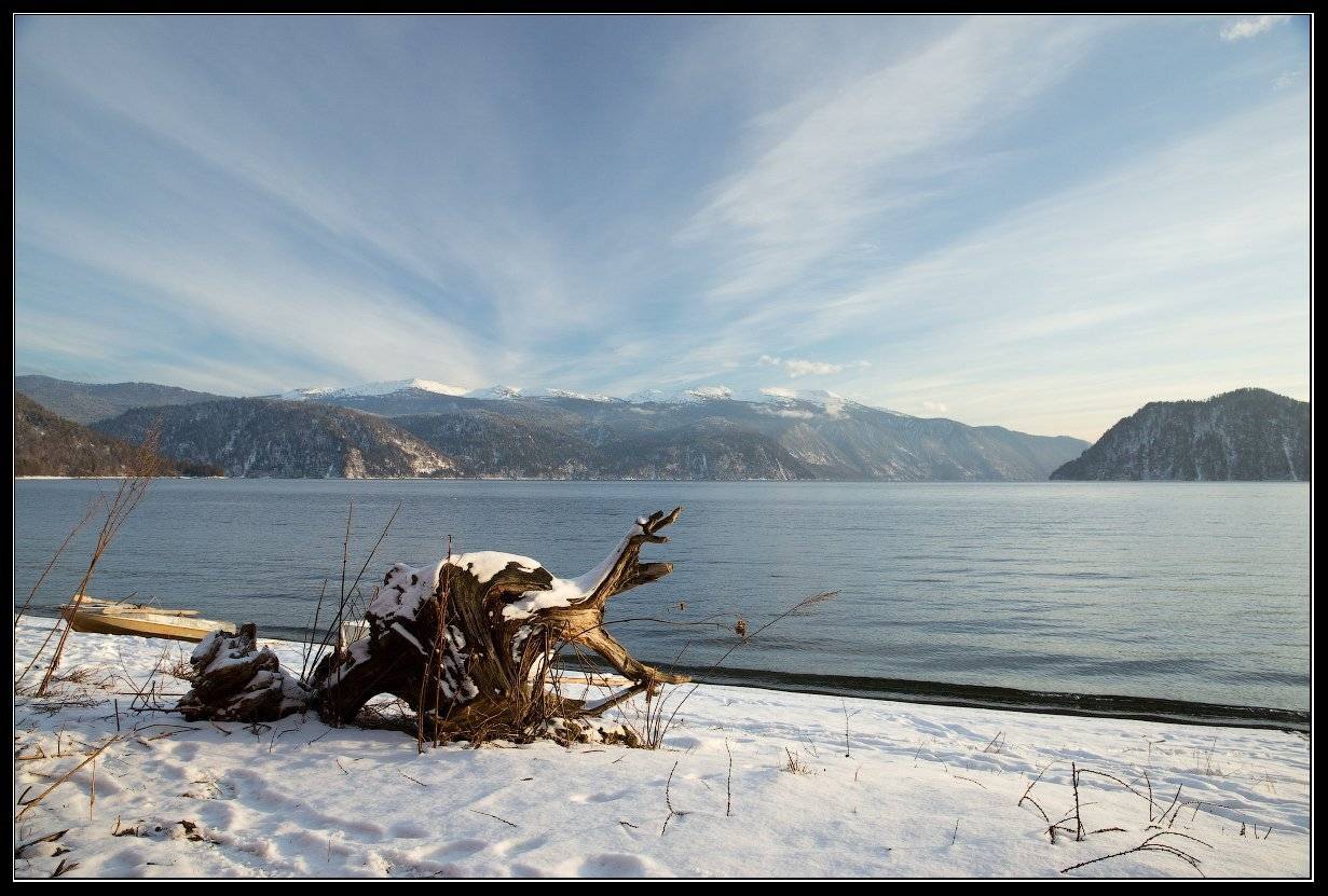 , Юрий Фролов