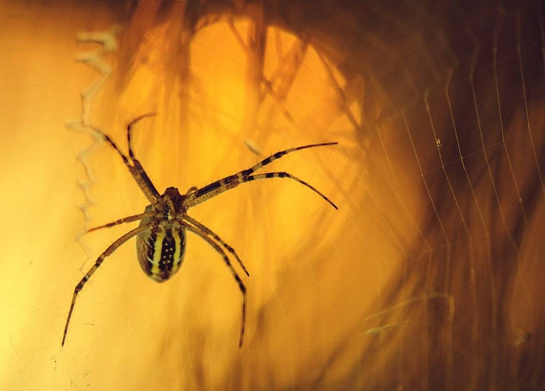 , Татьяна Аверина