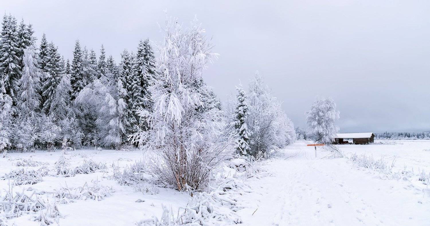, Игорь Мелекесцев
