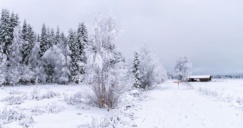Зима в Лапландии фото превью