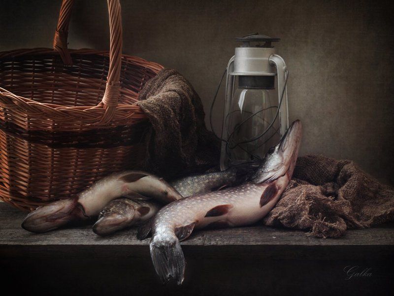 Щуки фото превью