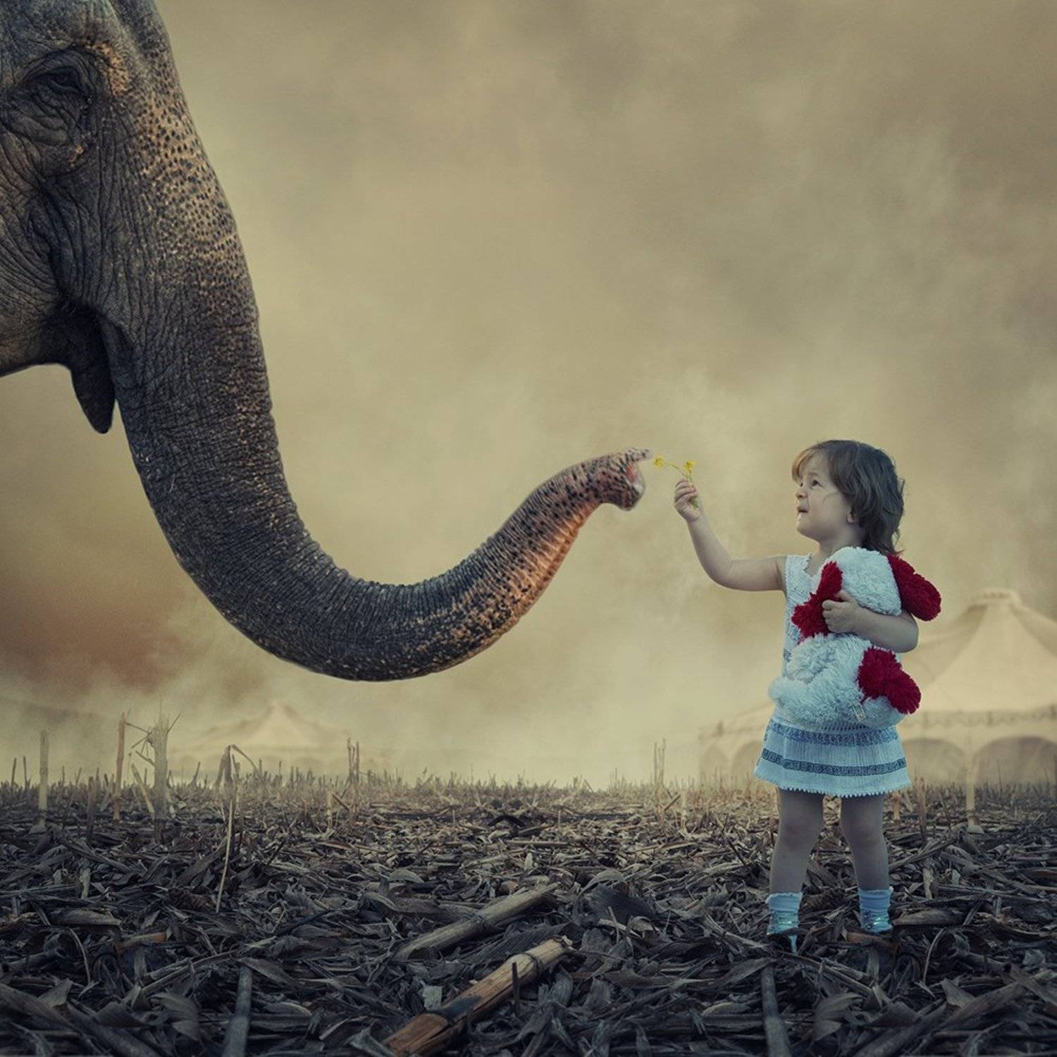 bascket, clouds, cold, cross, deer, frozen, manipulation, mounting, old, photoshop, psd, searching, sky, snow, stone, tree, tutorials, warm, winter, womman, Caras Ionut