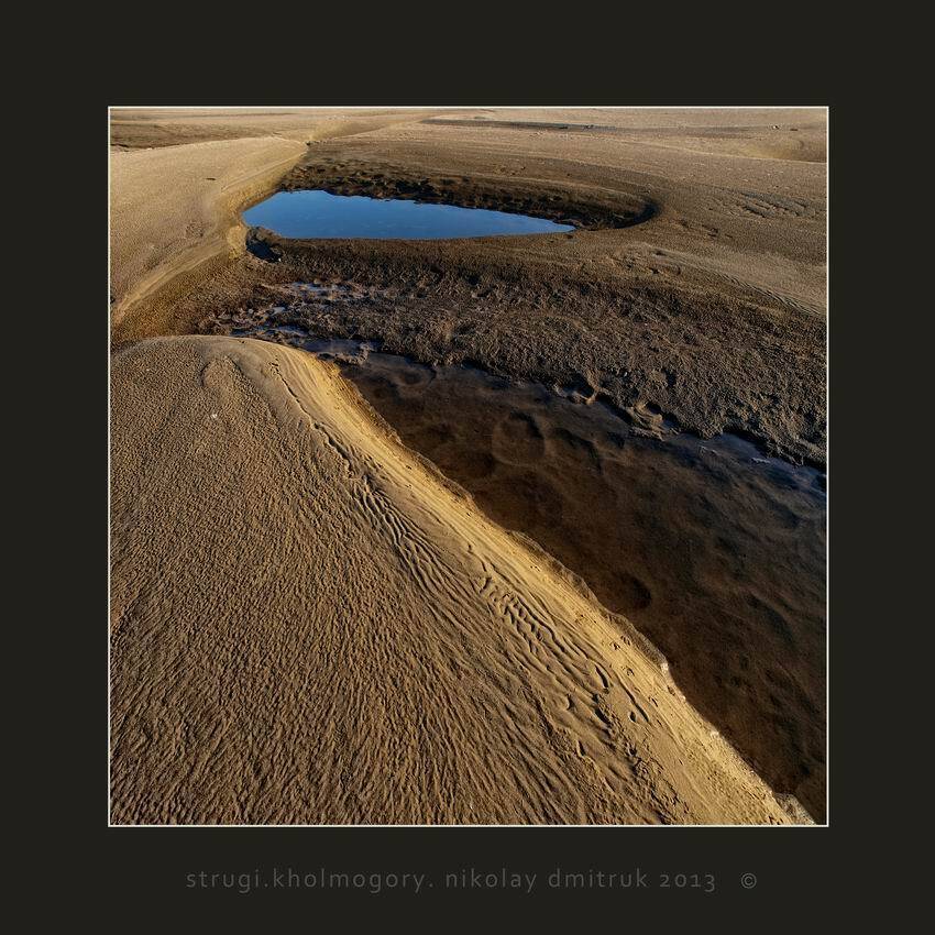 , николай дмитрук