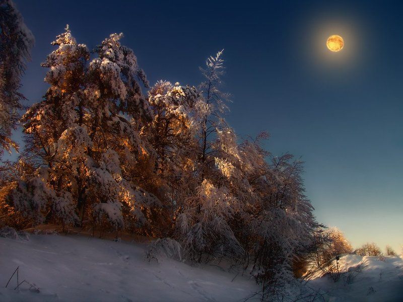 Рождественский вечер фото превью