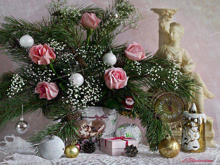 , Елизавета Шавардина