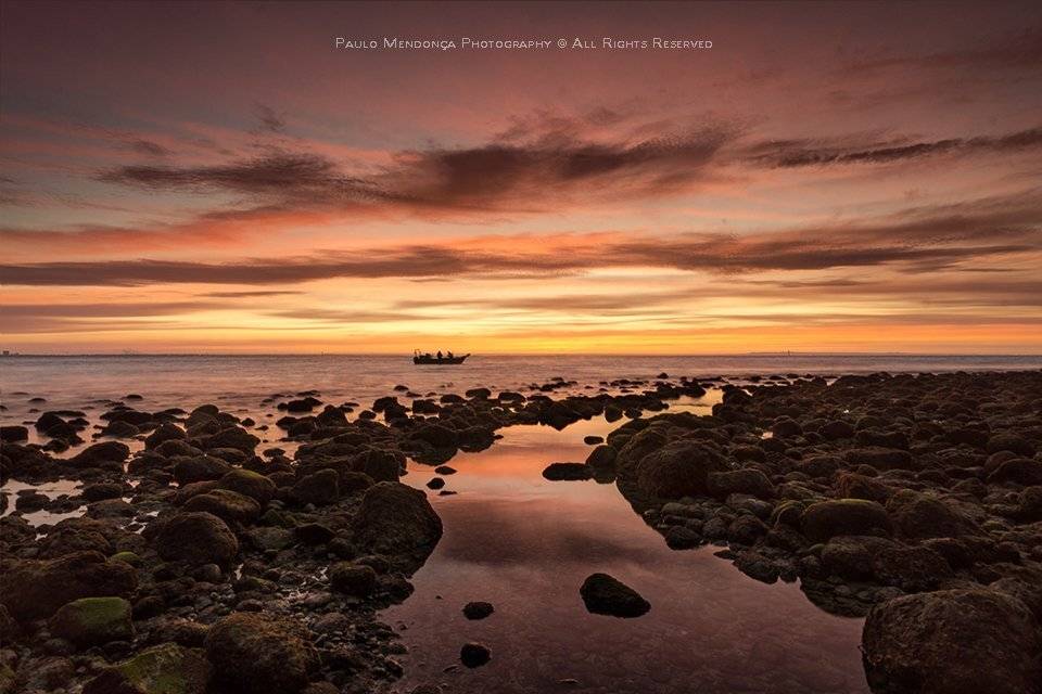 , Paulo Mendon&ccedil;a