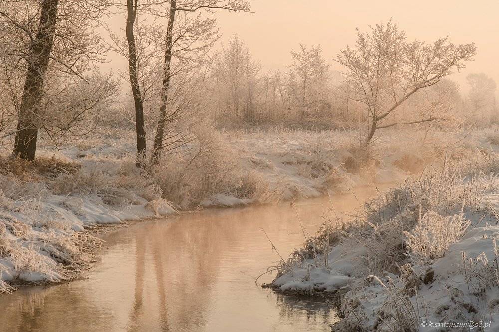 golden morning. Автор: Katarzyna Gritzmann , Katarzyna Gritzmann
