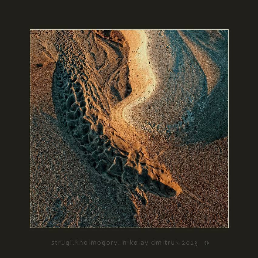 , николай дмитрук