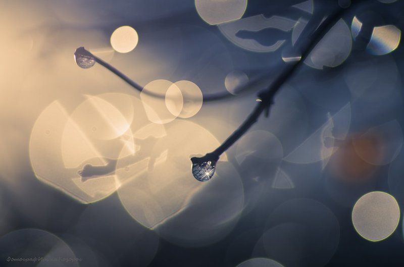 Просто капелька фото превью