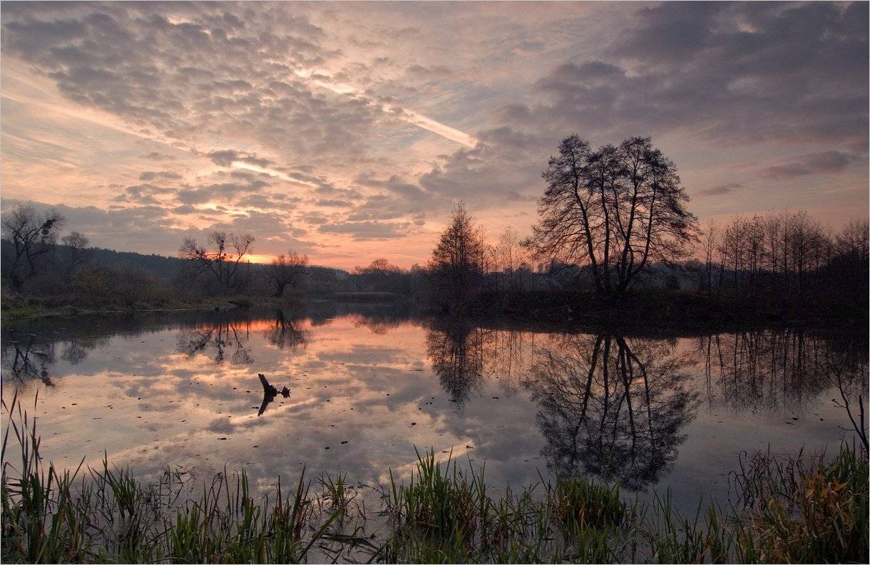 , Николай Шахманцир