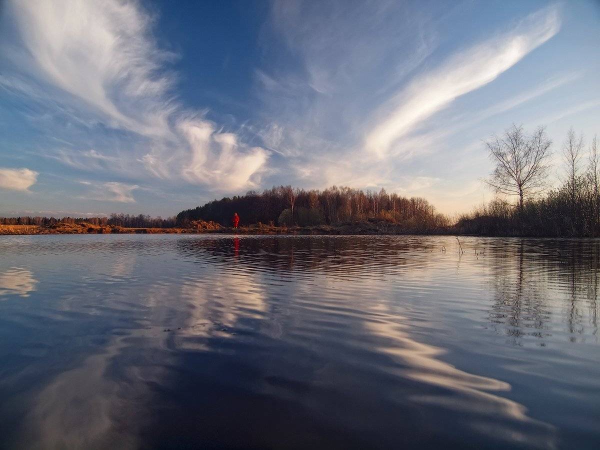 , Владимир Перепечаев