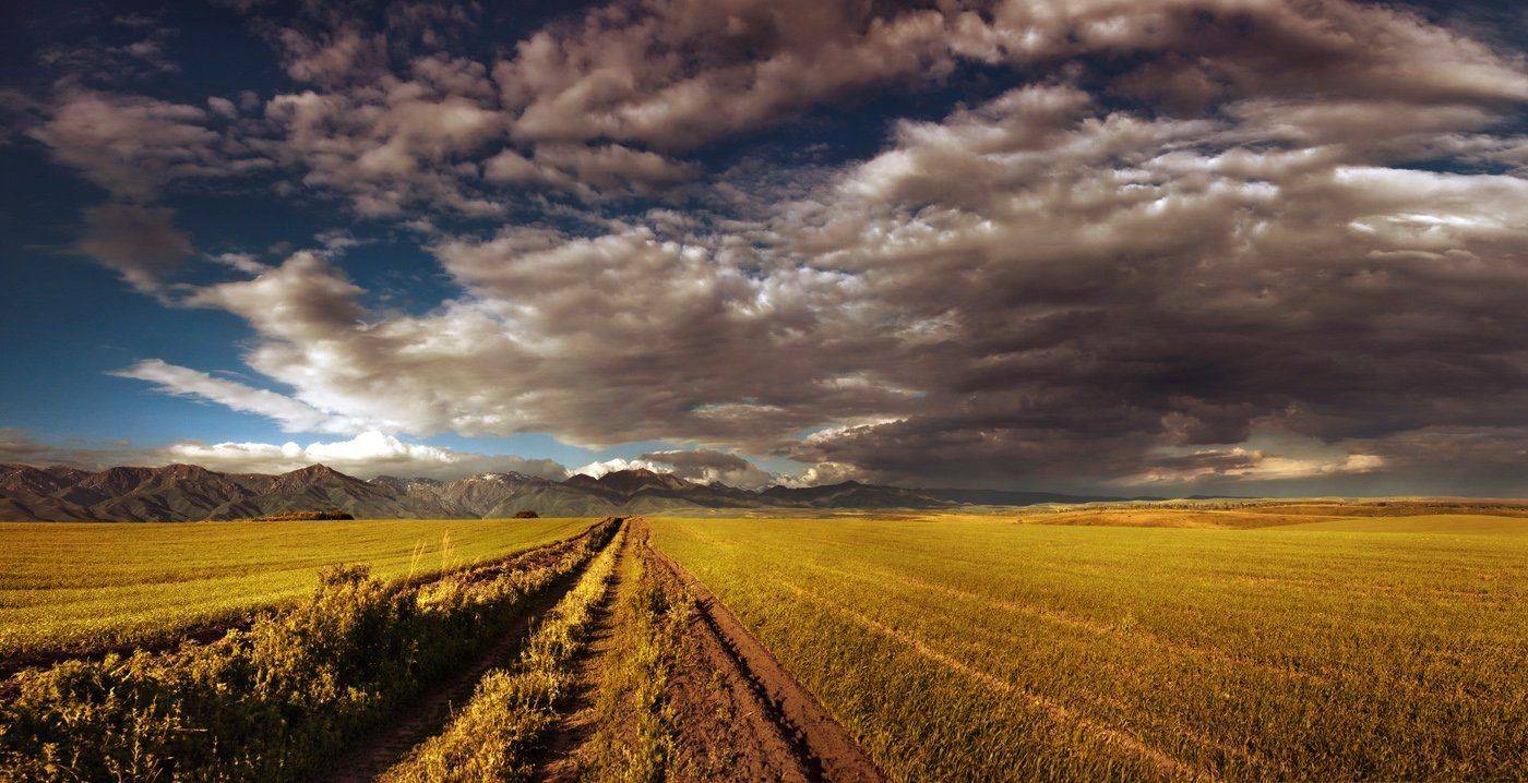 , Ратушнова-Осинцева Арина