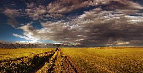 Степи Казахстана