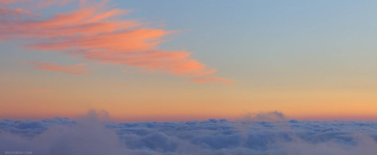 , Михаил Псарёв