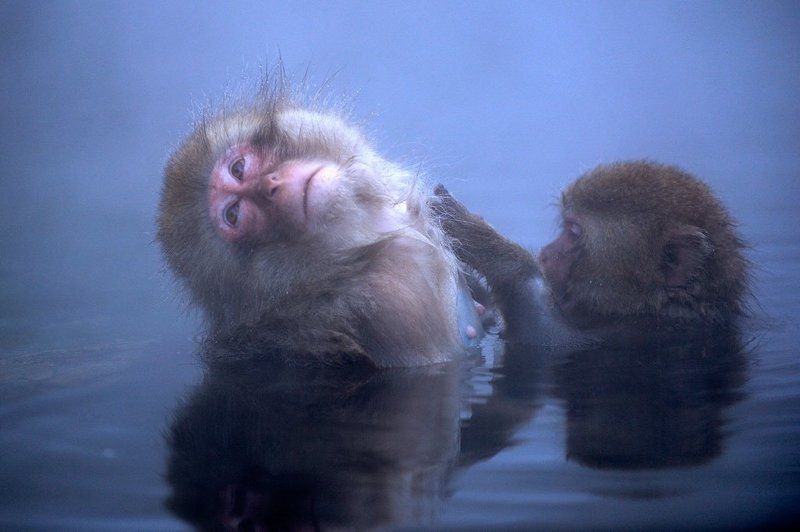 Spa фото превью