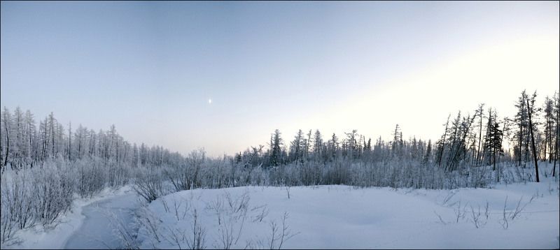 таймыр БЕЛЫЙ ПЛЕН фото превью