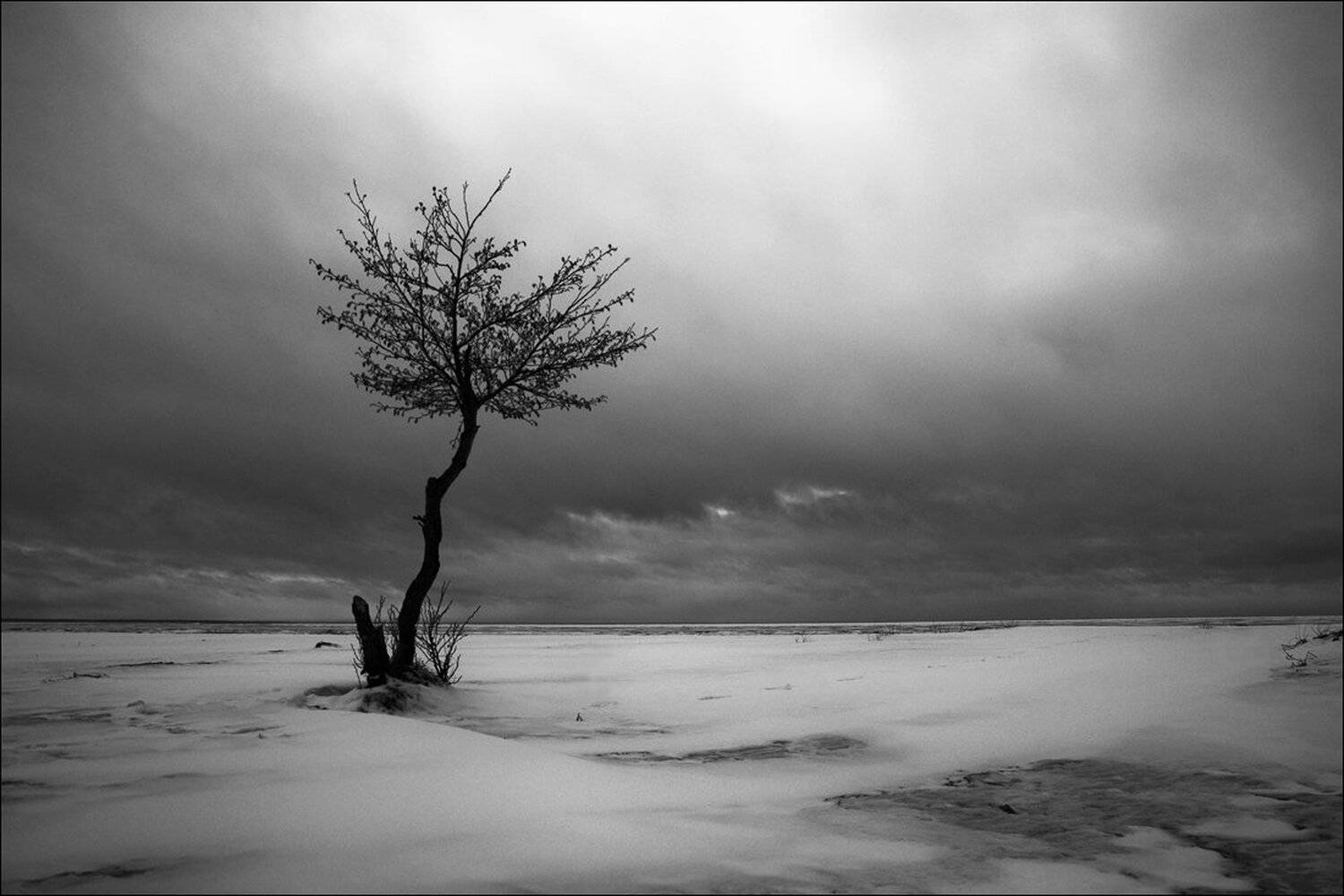 , Крицак Ольга