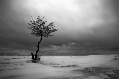 Декабрь. Балтика.