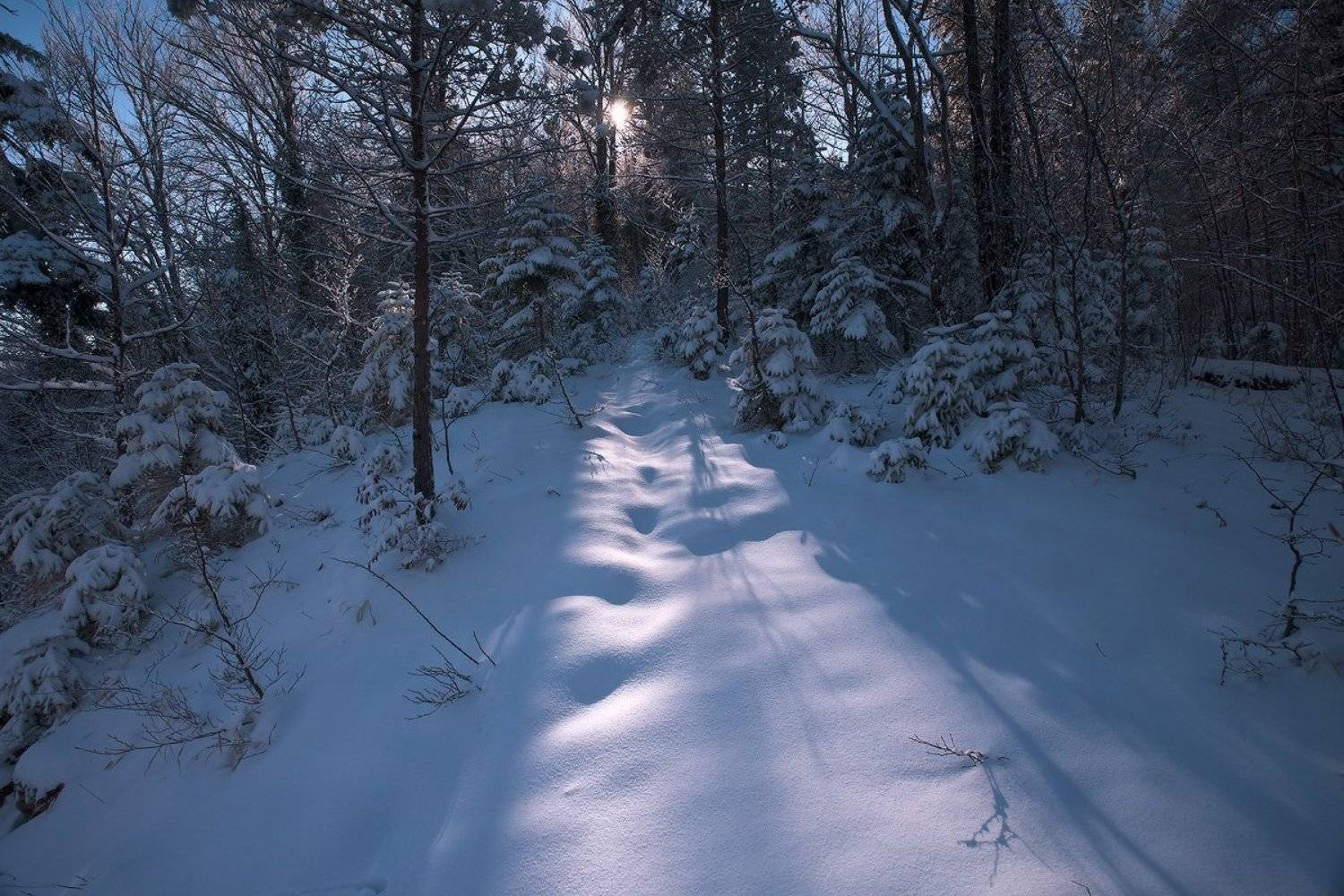 , Ирина Заграничная