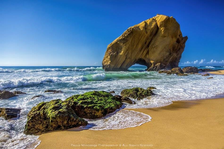 , Paulo Mendon&ccedil;a