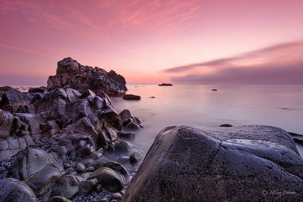 , Милен Добрев