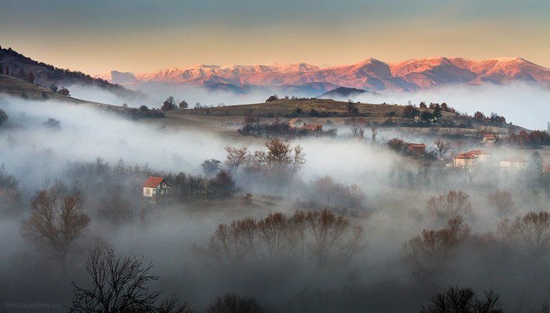 Ракитна фото превью