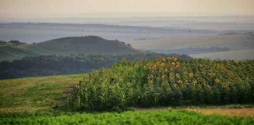 Летне-подольские зарисовки