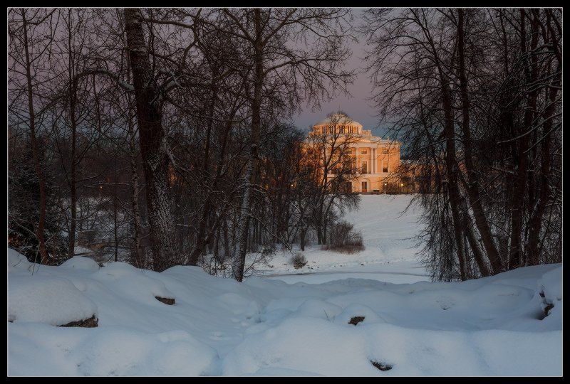 павловск, павловский, парк, дворец, зима ... за неимением, так сказать... фото превью
