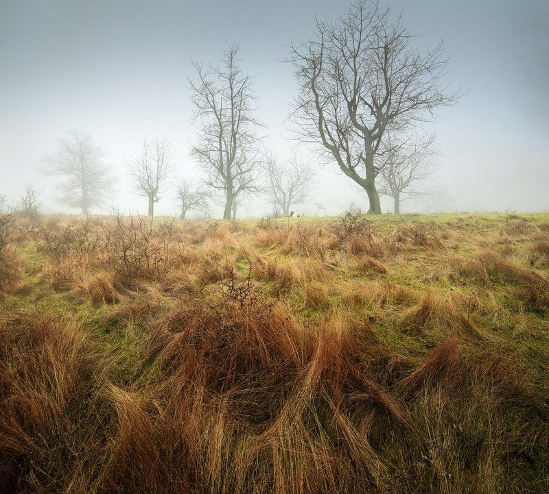 140108 фото превью