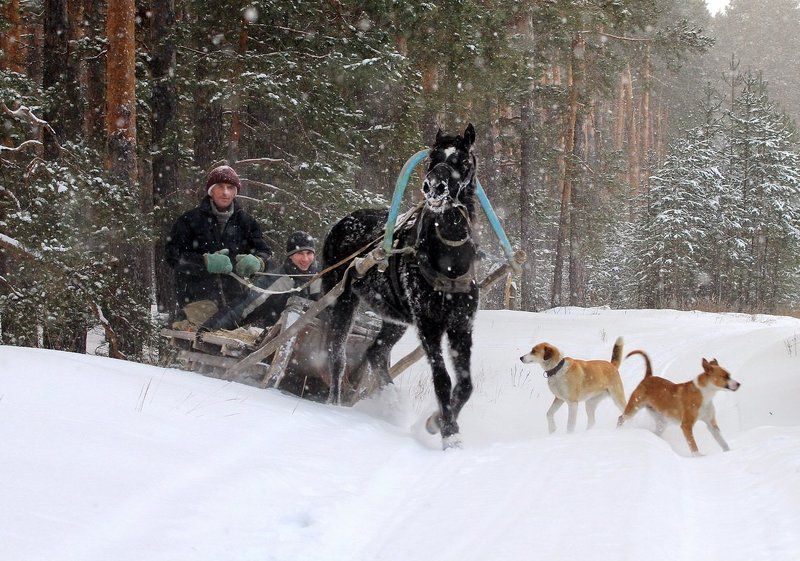 *** фото превью