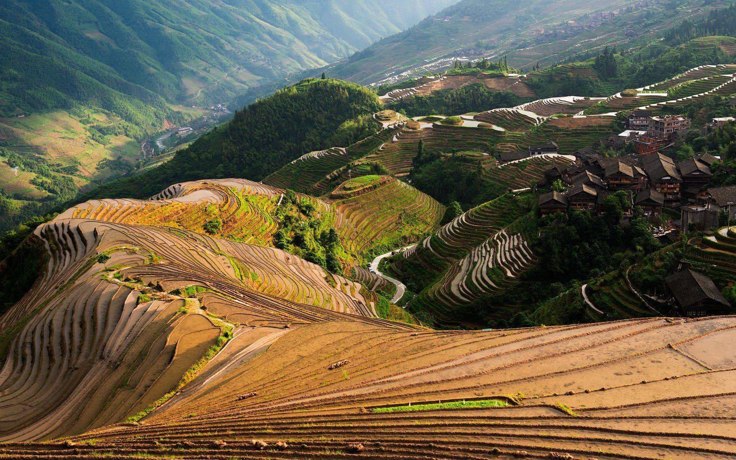 , Андрей Ведерников