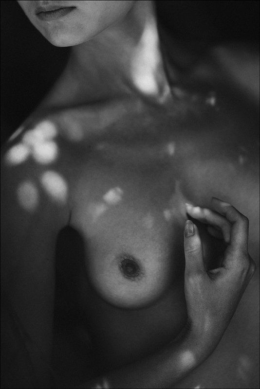 shady фото превью