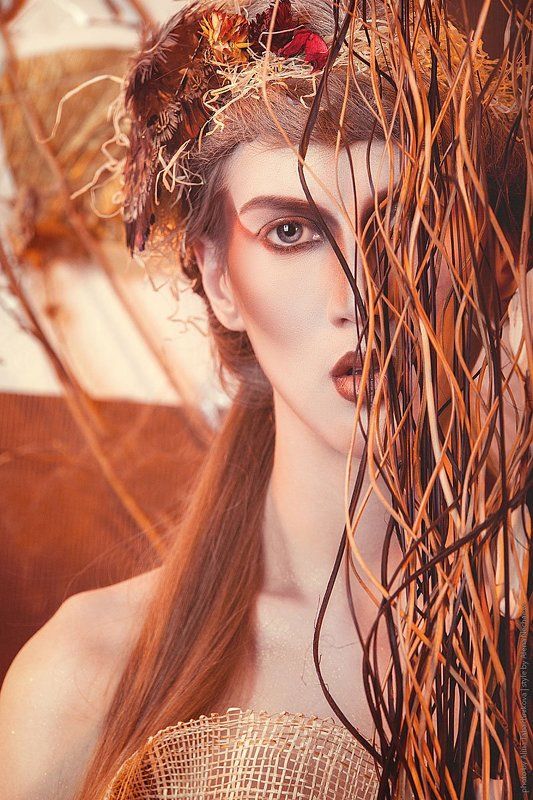 друид... фото превью