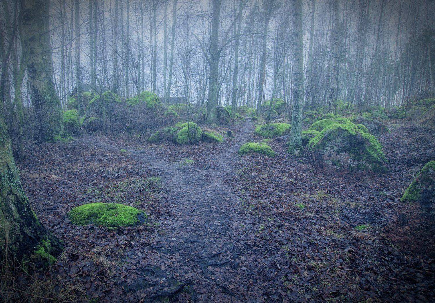 , Павел Жданов