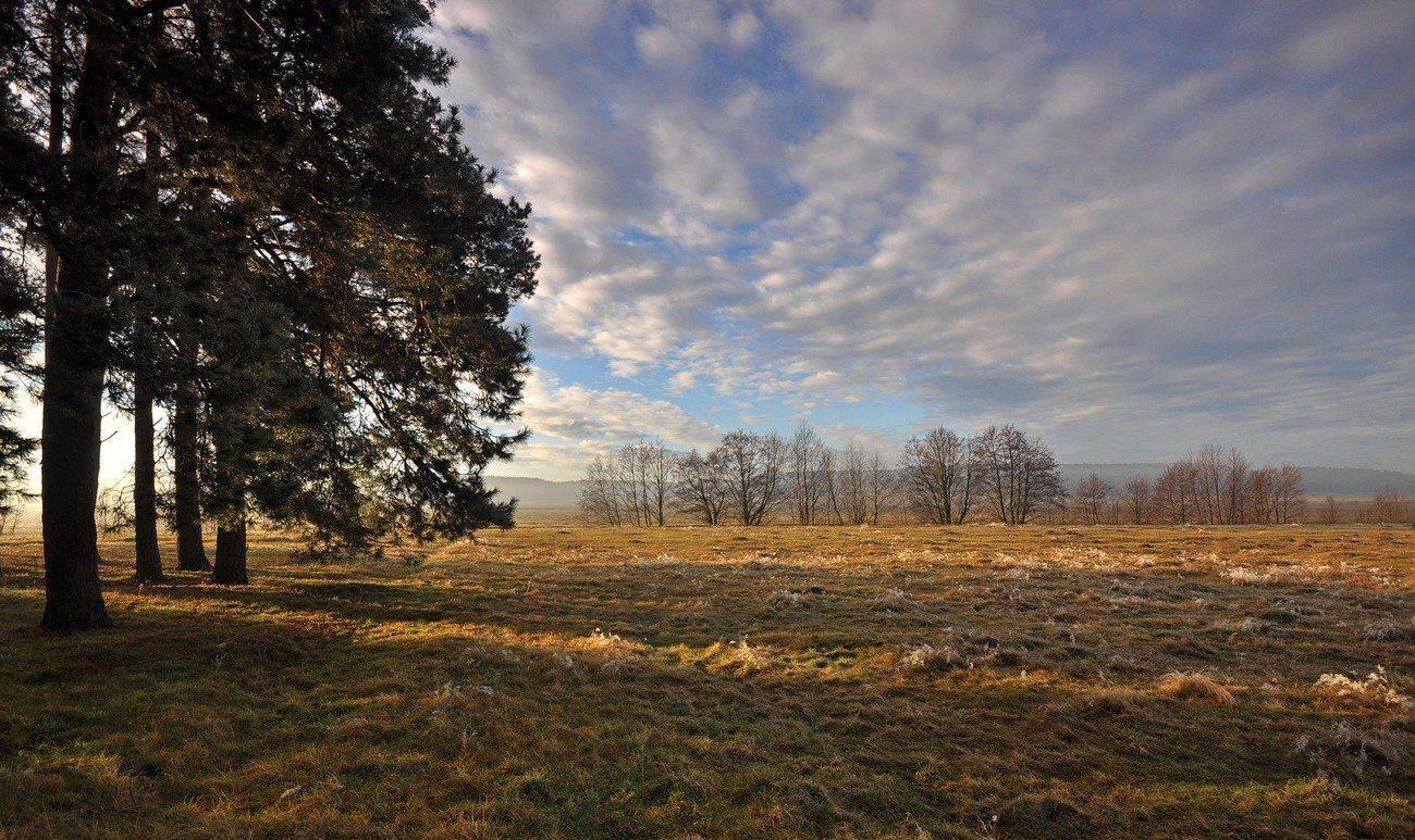 , Володимир Карчевський