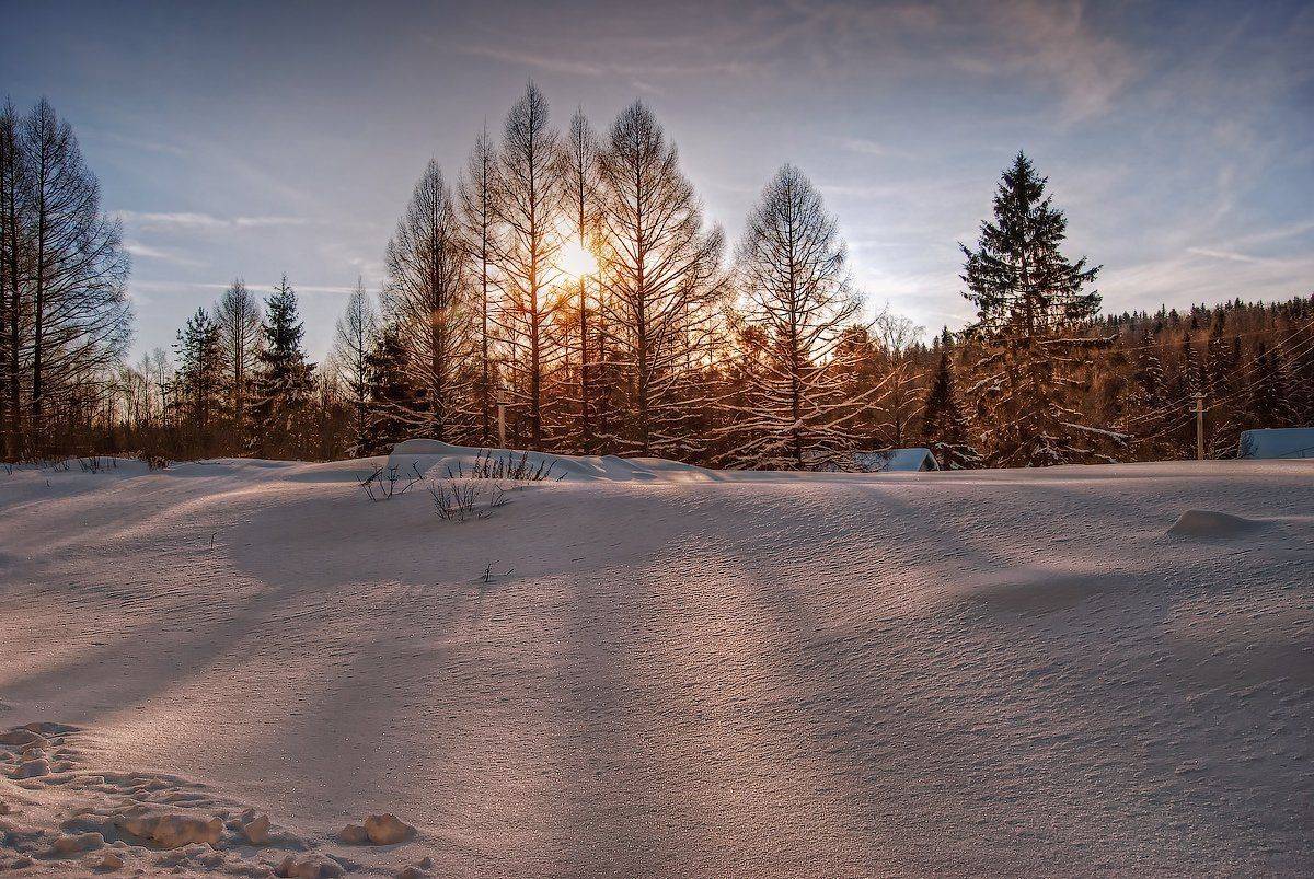 , Марина Никифорова