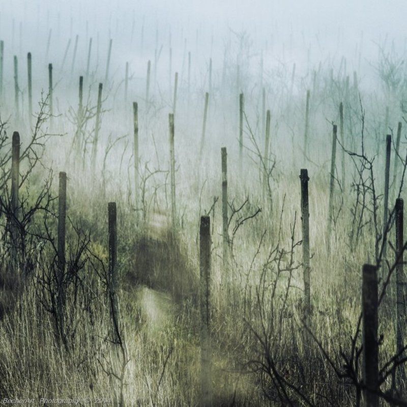 Ghostlines VII фото превью