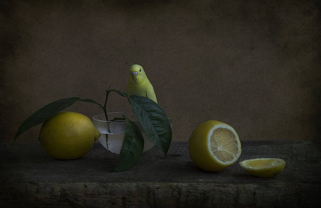 , Петрова Татьяна