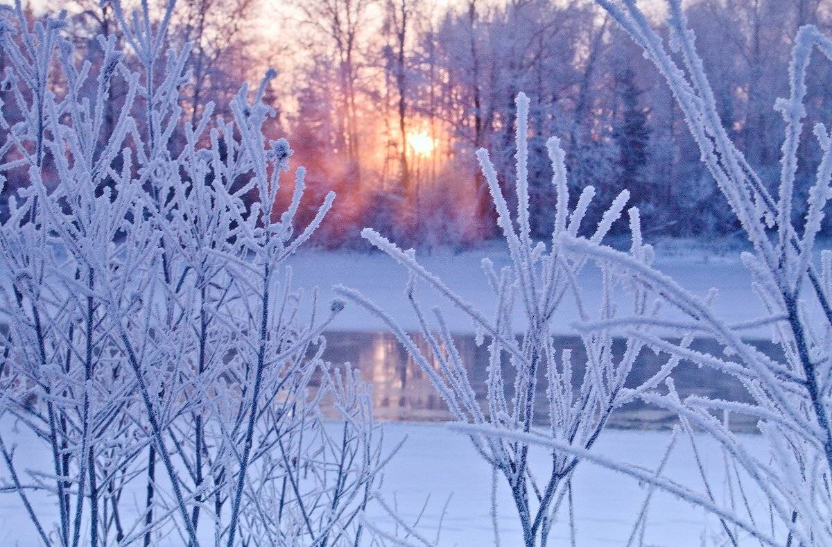 , Николай Морский