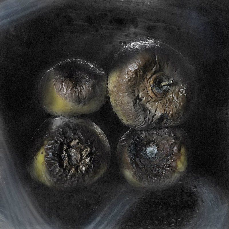 Натюрморт фото превью