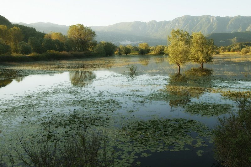 Скадарское озеро фото превью