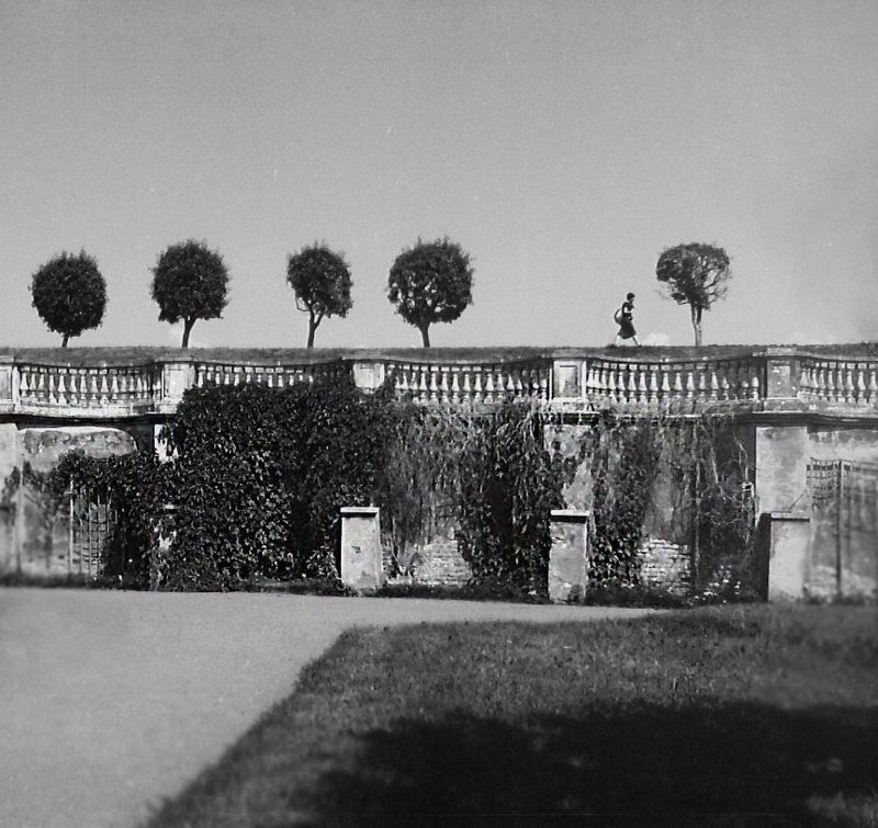 Питер фото превью