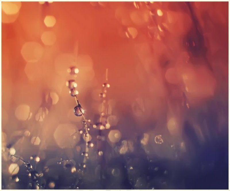 капелькомания. часть 4 фото превью