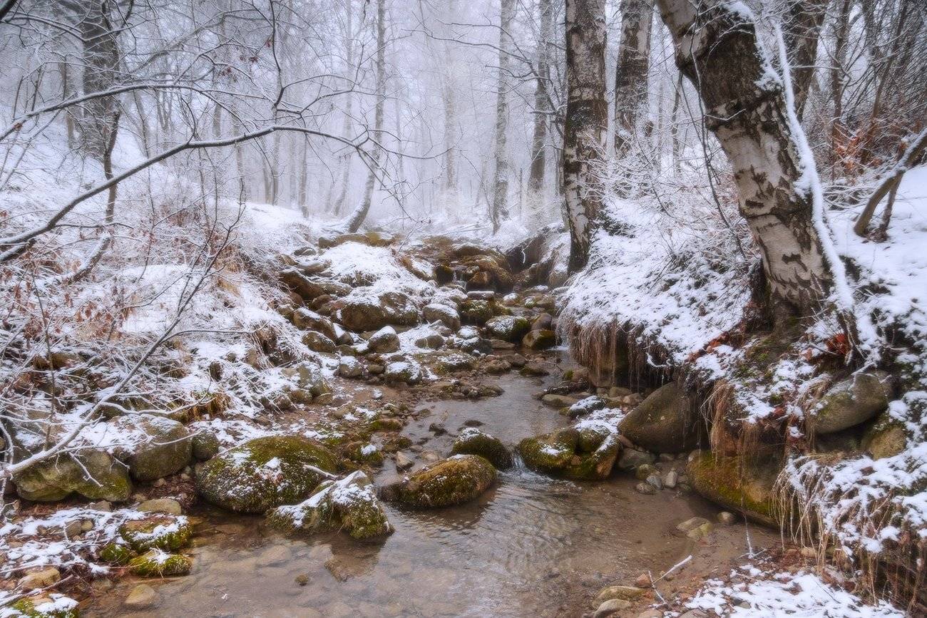 , Leonid Dyachenko