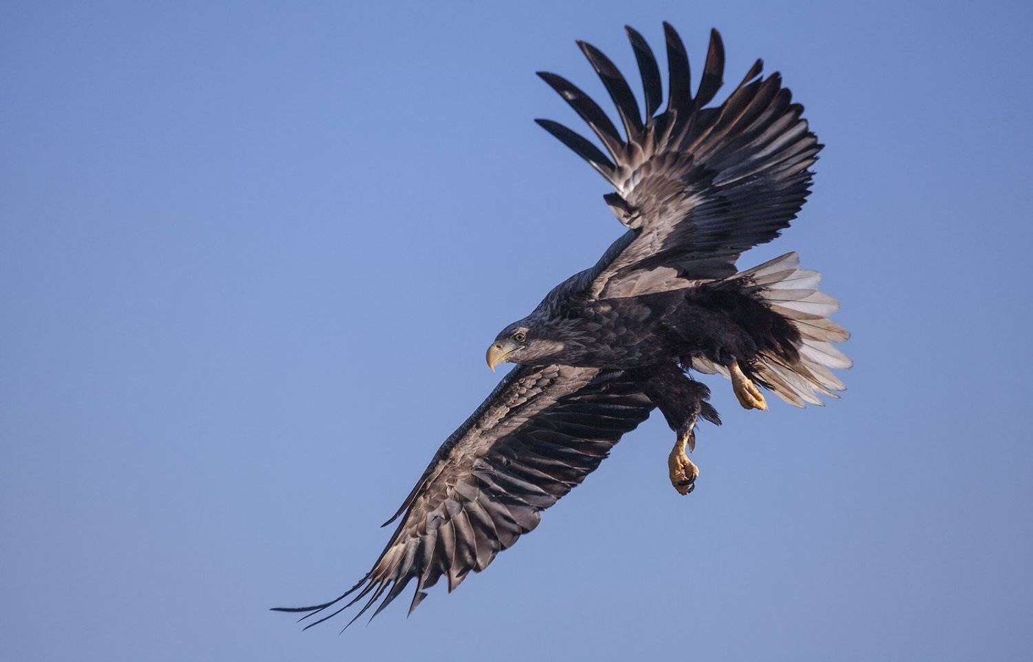, Евгений Слободской