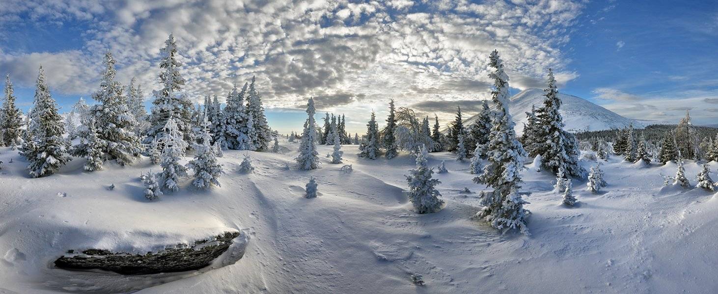 , Клековкин Алексей