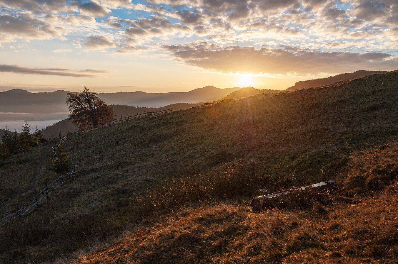 , Олег Логунов