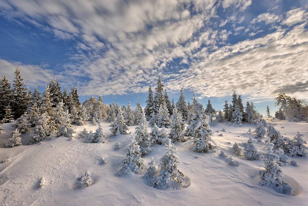 разлетаясь, Клековкин Алексей